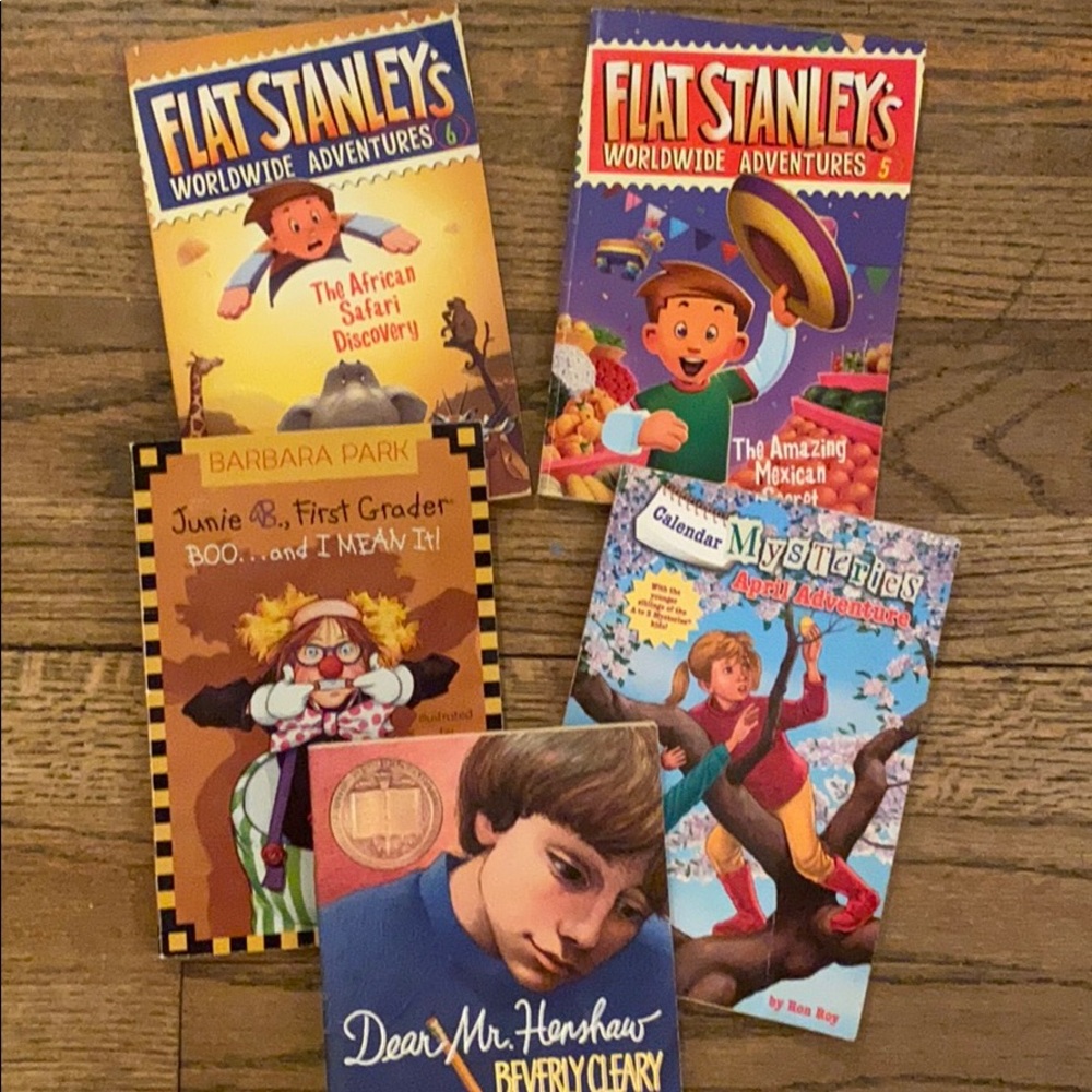 Adventure chapter books, Flat Stanley, Juni b